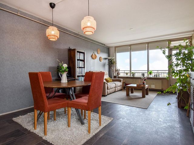 Rodelaan 231, Voorburg