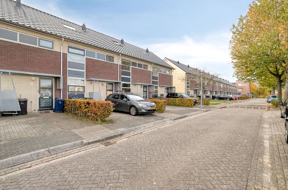 Kick Wilstraplantsoen 28