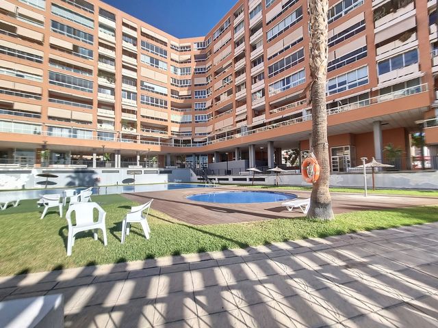 Carrer Alcalde José Luís Lassaletta  , Alicante (Alacant)