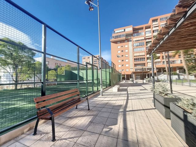 Carrer Alcalde José Luís Lassaletta  , Alicante (Alacant)