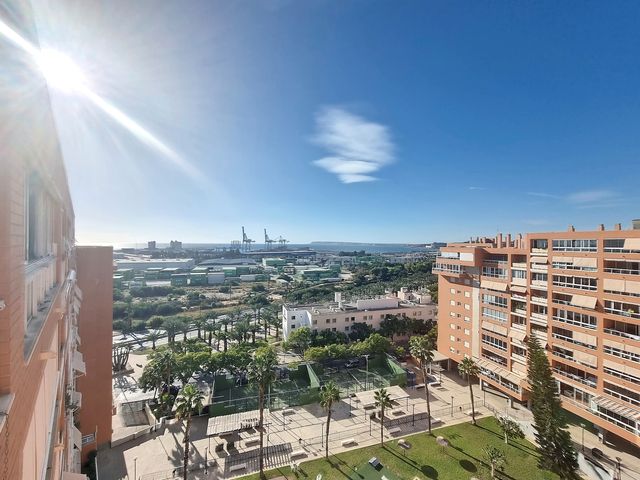 Carrer Alcalde José Luís Lassaletta  , Alicante (Alacant)