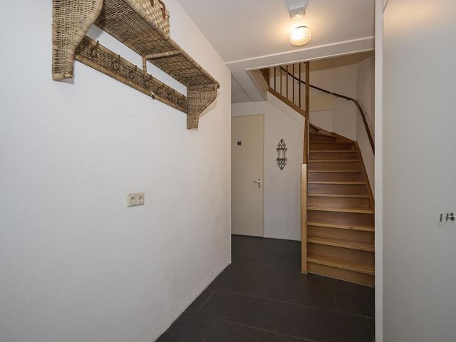 Roerdomp 2, Terneuzen