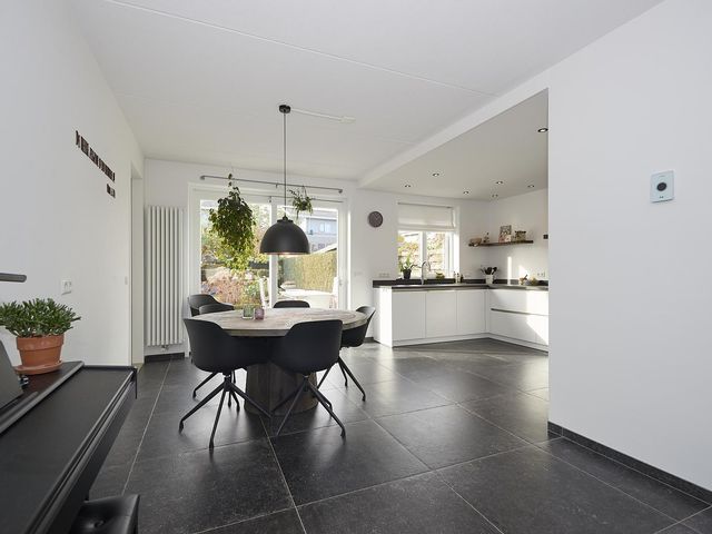 Roerdomp 2, Terneuzen