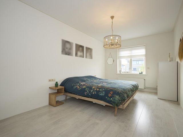 Roerdomp 2, Terneuzen