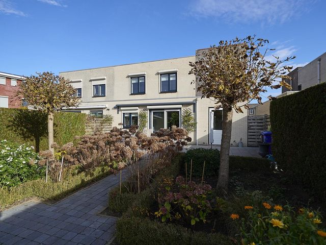 Roerdomp 2, Terneuzen