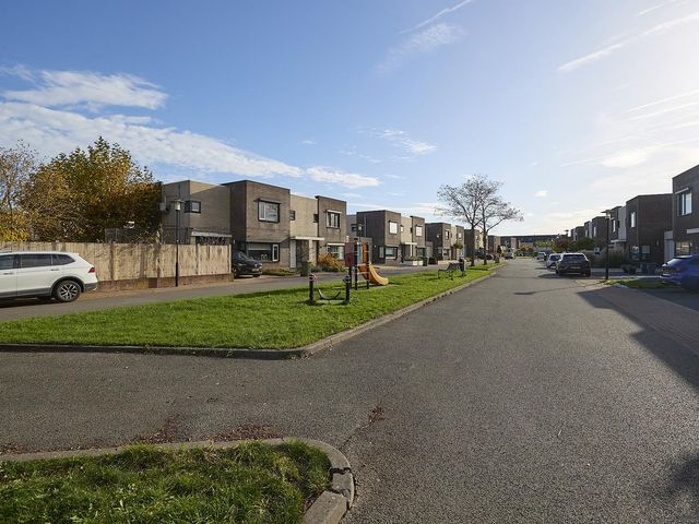 Roerdomp 2, Terneuzen