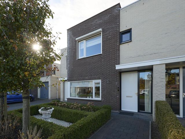 Roerdomp 2, Terneuzen