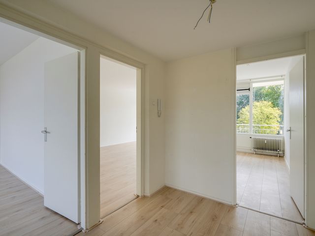 Tannhäuserdreef 362, Utrecht