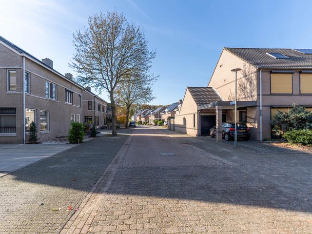 Ridderspoor 3, Venray