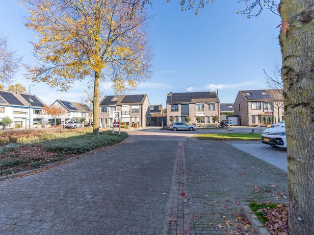 Ridderspoor 3, Venray