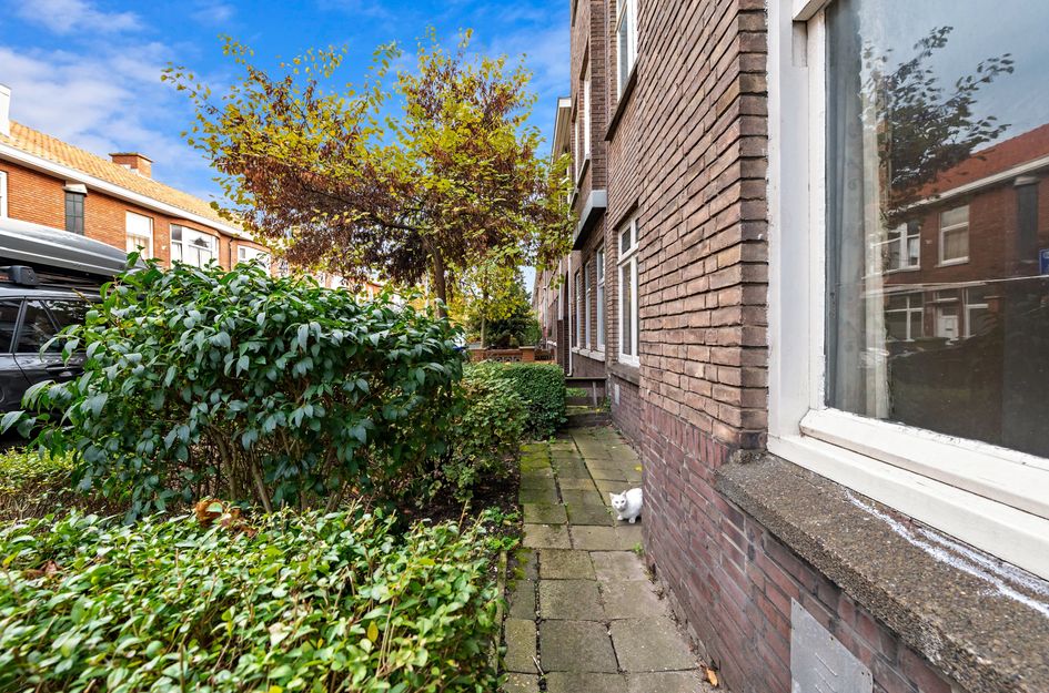 Koopmans Van Boekerenstraat 11