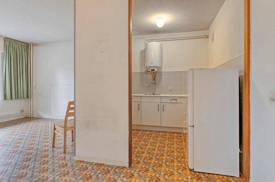 Aert Van Neslaan 233