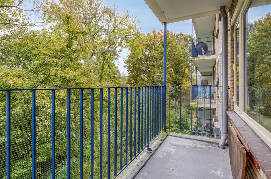 Aert Van Neslaan 233