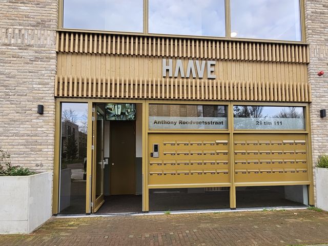 Anthony Roodvoetsstraat 91, Haarlem