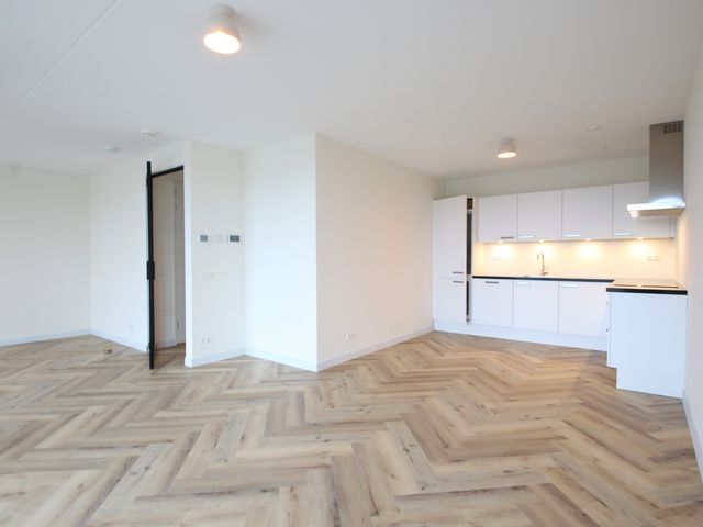 Anthony Roodvoetsstraat 91, Haarlem