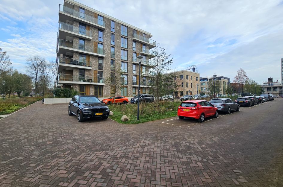 Anthony Roodvoetsstraat 91