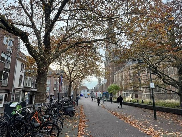 Oude Langendijk 7A2, Delft