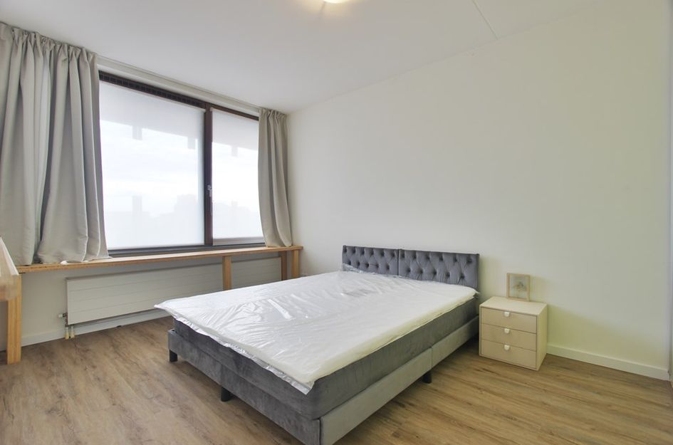 Carolina MacGillavrylaan 576