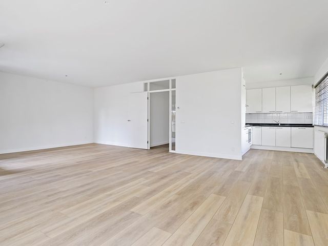 Jan Willem Frisohof 14, Den Haag