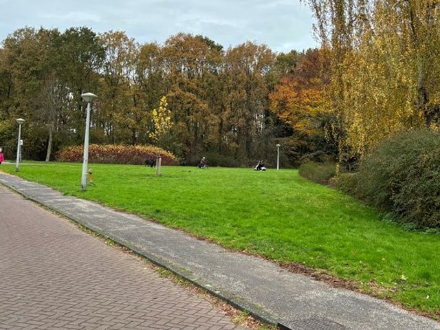 Bakhuizen vd Brinkhof 31, Amsterdam