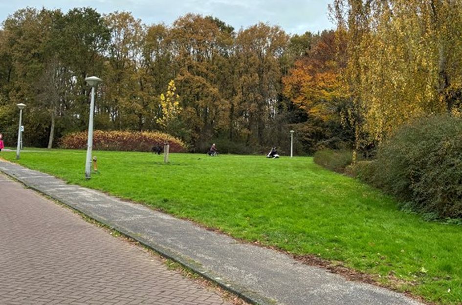 Bakhuizen vd Brinkhof 31