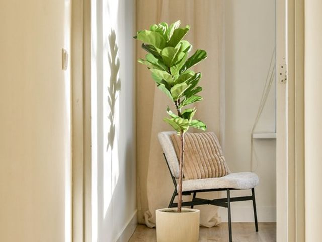 Ruimzicht 90, Amsterdam