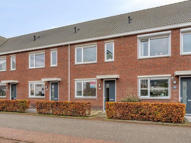 Blauwe Schoe 10, Goes