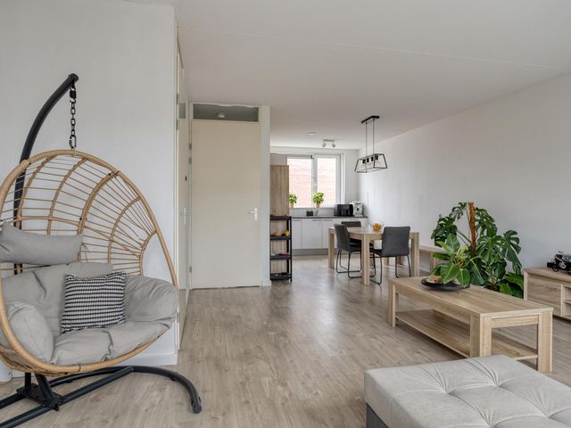 Blauwe Schoe 10, Goes