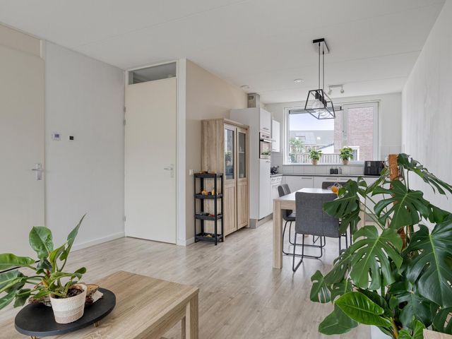 Blauwe Schoe 10, Goes