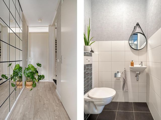 Blauwe Schoe 10, Goes