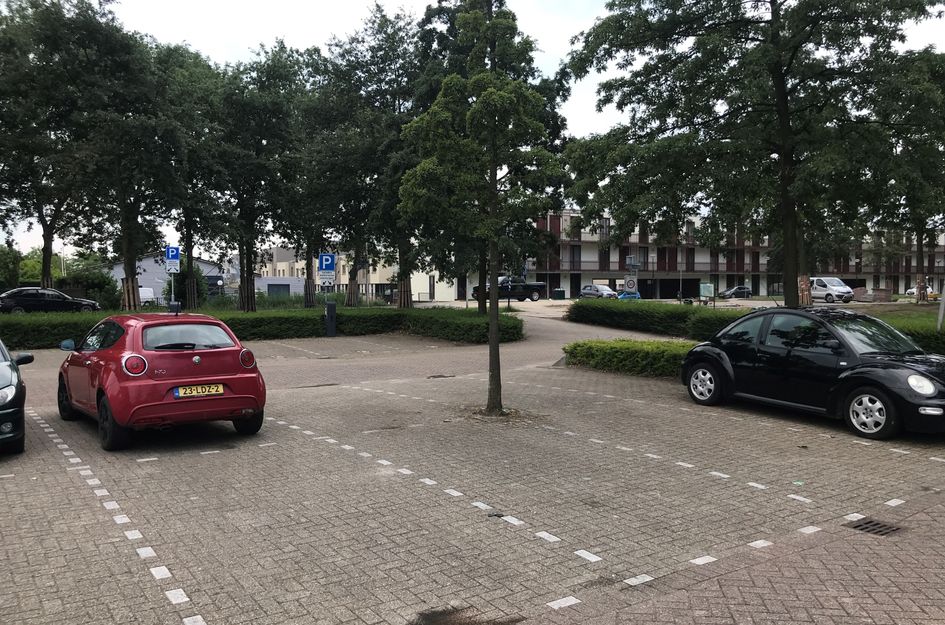 Rochus Meeuwiszoonweg 43