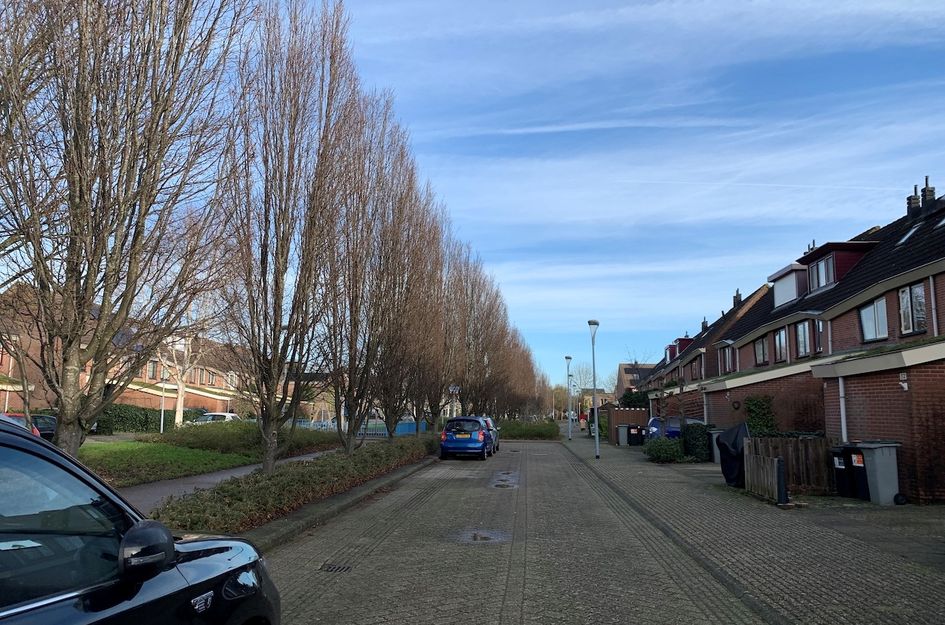 Albertje Onosplantsoen 36