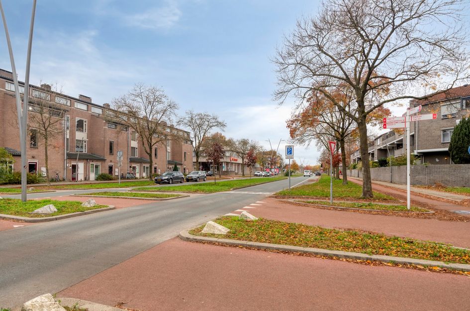 Wethouder Van Eschstraat 93