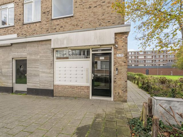 Molenvliet 95, Rotterdam