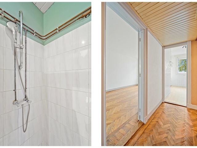 Apeldoornselaan 258, 'S-Gravenhage