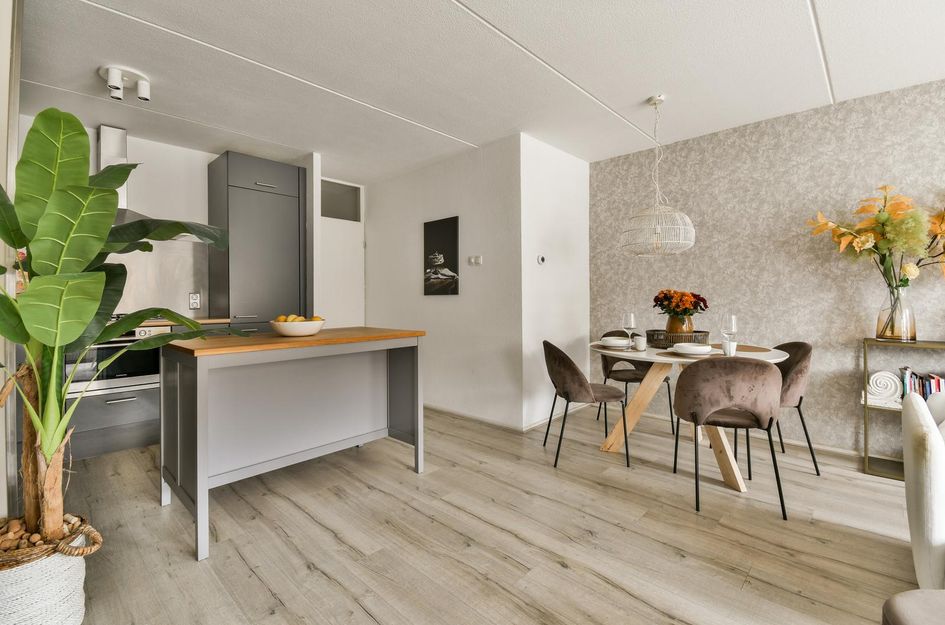 Zuider Buiten Spaarne 50