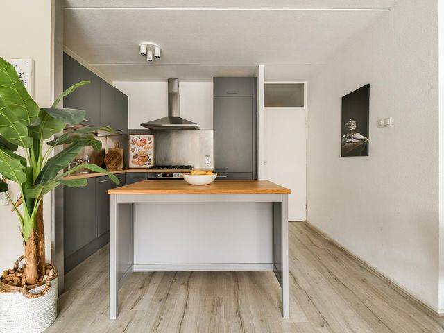 Zuider Buiten Spaarne 50, Haarlem