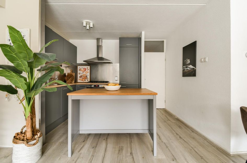 Zuider Buiten Spaarne 50