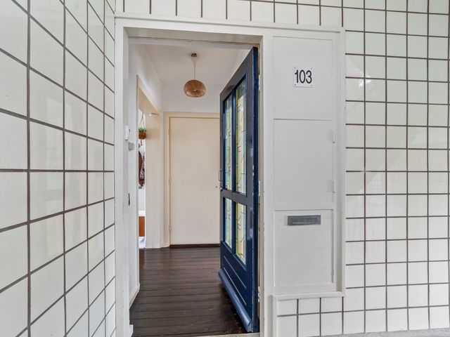 Monnickendamplein 103, Den Haag