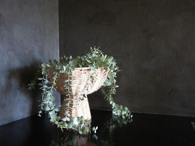 Kooltuin 26, Alkmaar