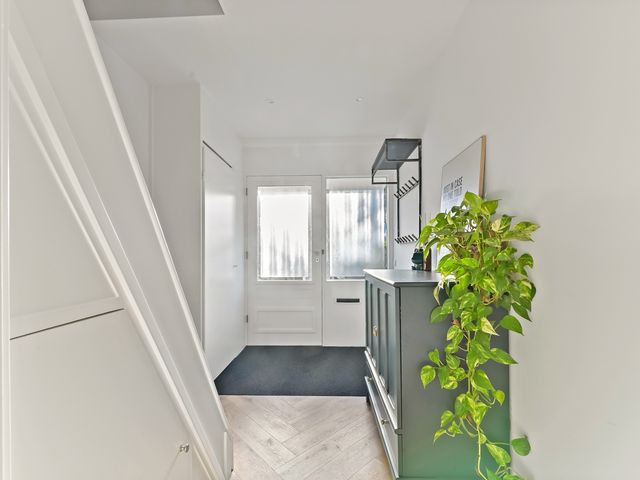 Plantage 27, Maasland