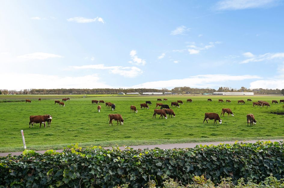 Kapelleboslaan 41 379