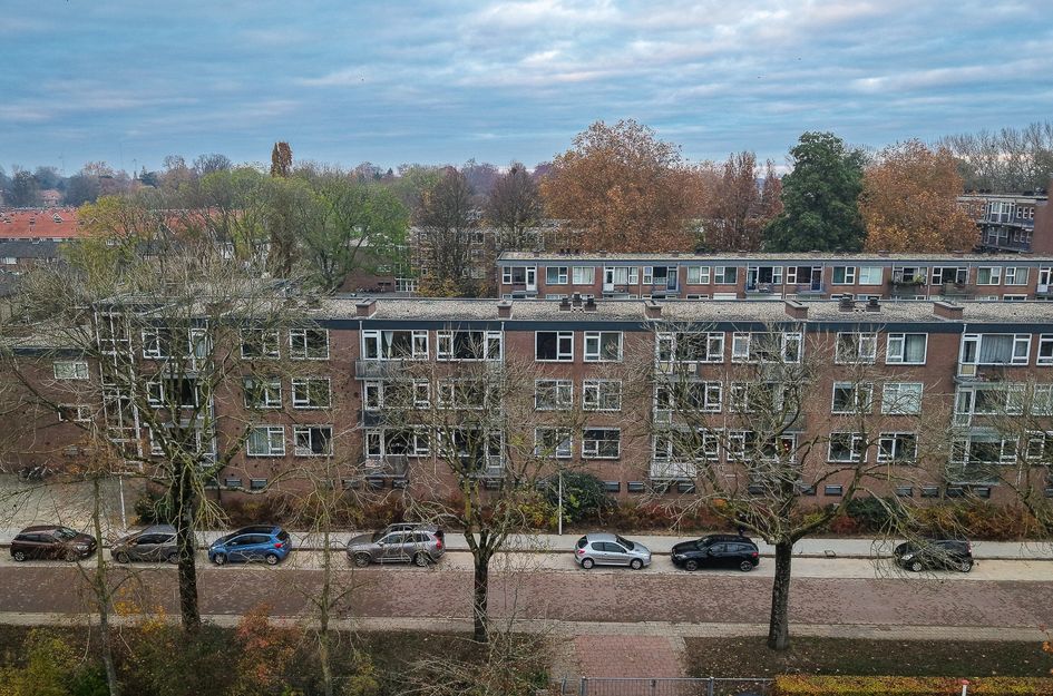 Paulus Potterstraat 141