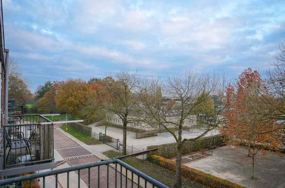 Paulus Potterstraat 141