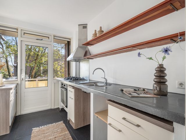 Frans Cobellaan 60, Voorburg