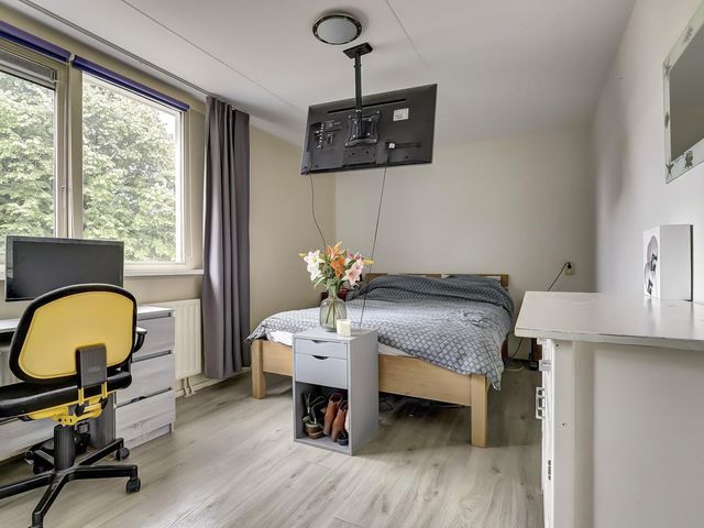 Homberg 1559, Wijchen