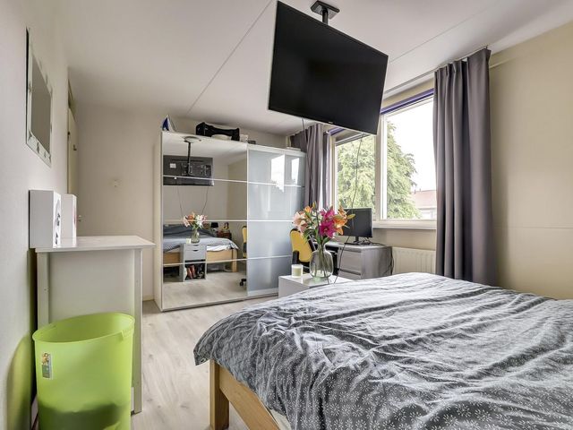 Homberg 1559, Wijchen