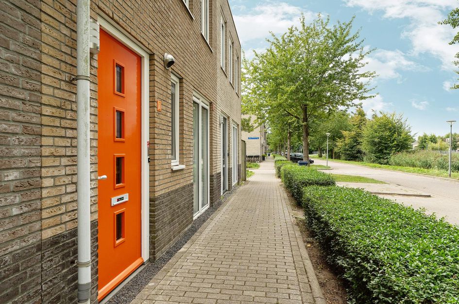 Carol Vogesgracht 11