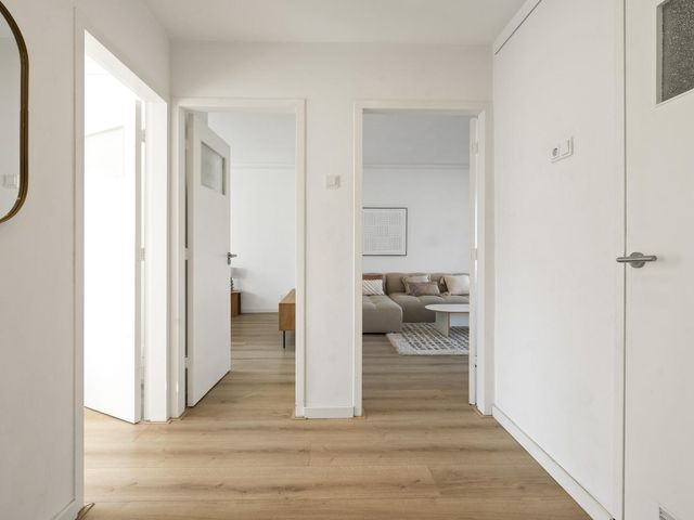 J.H. Leopoldstraat 11I, Haarlem