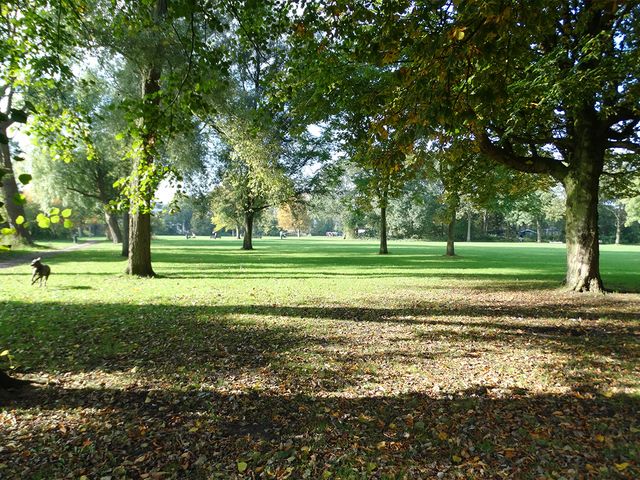 J.H. Leopoldstraat 11I, Haarlem